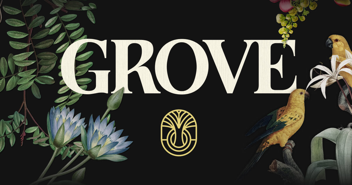 Grove Finance cover